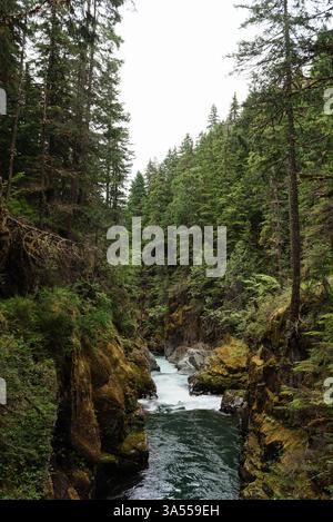 Mountain Stream durchquert den Rocky Canyon im Pazifischen Nordwesten Stockfoto