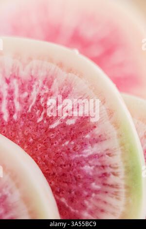 Nahaufnahme von frischen Wassermelonen-Rettichscheiben mit leuchtendem rosa Klaps Stockfoto