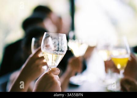 Eine Gruppe von Leuten, die zum Feiern Gläser Weißwein hochheben Stockfoto