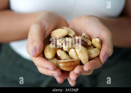 Brasilien Nüsse. Nahaufnahme weiblicher Hände mit einer Handvoll Paranüssen. Stockfoto