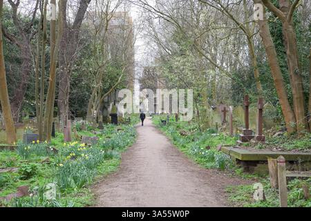 Einsame Person, die einen Pfad zwischen Grabsteinen im Tower Hamlets Cemetery Park, London, hinuntergeht Stockfoto