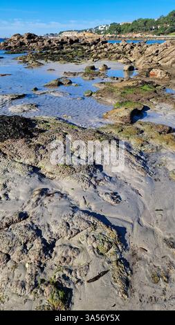 Ruhige Küstenszene mit nassem Sand, verstreuten Felsen und sanften Wellen treffen auf die Küste. Natürliche Strandstruktur mit glatter Wasseroberfläche und Stockfoto
