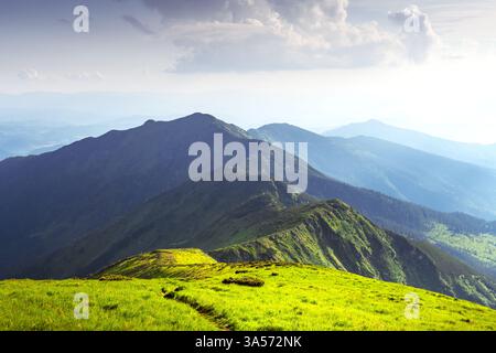Sanfte grüne Wiesen, die sich über die Berge erstrecken, beleuchtet von sanfter Morgensonne mit nebelbedeckten Gipfeln dahinter. Landschaftsfotografie Stockfoto