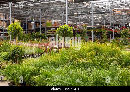 Los Angeles, Kalifornien, USA - 06-08-2019: Blick auf den Garten- und Pflanzenabschnitt von Home Depot. Stockfoto