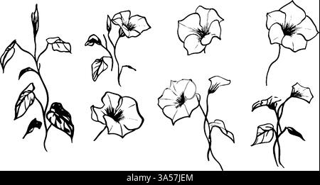 Eine Sammlung handgezeichneter Blumenillustrationen mit verschiedenen Arten von Blumen und Blättern. Die Designs sind komplex und elegant und eindrucksvoll Stock Vektor