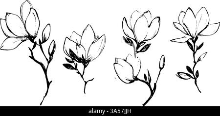 Eine Sammlung von handgezeichneten Magnolienblüten und Zweigen, die verschiedene Blütestadien zeigen. Die Abbildungen zeigen zarte Blätter und Blätter Stock Vektor