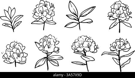 Eine Sammlung handgezeichneter Blumenillustrationen mit verschiedenen Stufen blühender Blumen und Blätter. Die Designs zeigen komplizierte Details und einen Stock Vektor