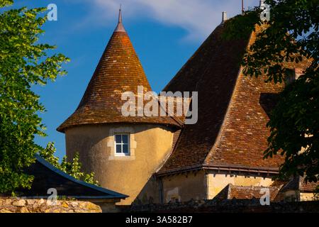 Frankreich, Indre (36), Le Blanc, Schloss von Naillac, Ecomusee de la Brenne Stockfoto