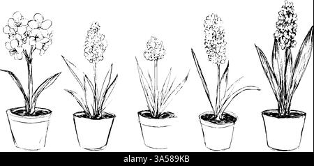 Eine Serie von fünf handgezeichneten Topfpflanzen, die verschiedene Arten von blühenden Pflanzen mit unterschiedlichen Formen und Größen zeigen. Jede Pflanze ist in A dargestellt Stock Vektor