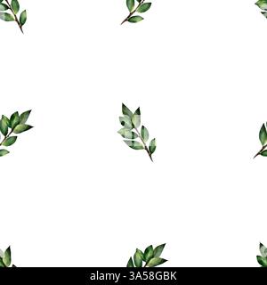 Nahtloses Aquarellmuster mit grünen Zweigen mit Blättern. Botanische Illustration, isoliert auf weißem Hintergrund. Für Textil, Druck, Tischdecke, Einladungen, Vorhänge Stockfoto