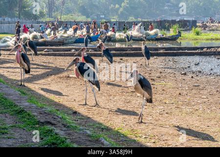Äthiopien, Fischer auf dem Fischmarkt am Awassa-See. märz 2024 Stockfoto