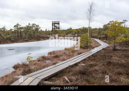 Eine hölzerne Promenade führt durch einen Sumpfbereich mit einem kleinen Bereich bedeckt mit Wasser und einem Aussichtsturm im Hintergrund. Stockfoto