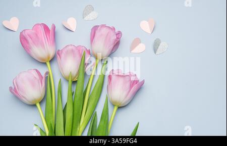 Pinkfarbene Tulpen und Papierherzen liegen auf einem pastellblauen Hintergrund und schaffen eine romantische Atmosphäre, die perfekt für den valentinstag ist Stockfoto