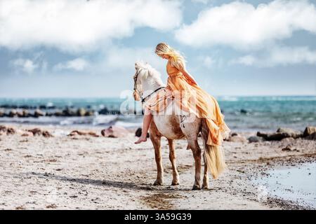 Deutsche Riding Pony Stockfoto