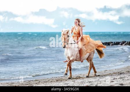 Deutsche Riding Pony Stockfoto
