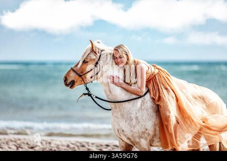 Deutsche Riding Pony Stockfoto