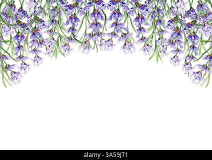 Horizontaler Lavendelrahmen. Blumenzweige hängen von der Spitze. Handgezeichnete Aquarellillustration isoliert auf weiß. Für Grußkarten, Hochzeit Stockfoto
