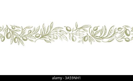 Olivfarbene Borte, rustikales nahtloses Muster. Vektor-Vintage-Band. Handgezeichneter Texturzweig, grüne Früchte, grafische Blätter auf weißem Hintergrund. Bio-Bauernhof o Stock Vektor