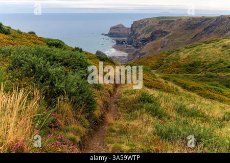Blick auf den Küstenweg, den North Cornish Footpath, mit Blick auf den Southwest Coast Path zum Strangles Beach und Cambeak mit sich nähernder Front. Stockfoto