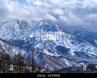 Schneebedeckte Berggipfel und Bäume. Niigata, Japan Stockfoto