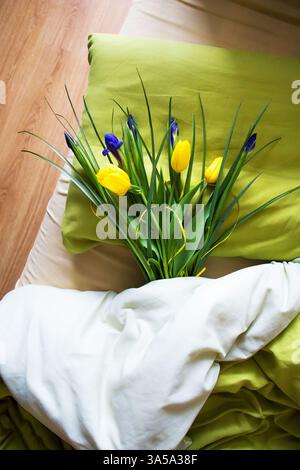 Ein Bouquet von schönen gelben Tulpen und Iris liegen auf dem Bett - Morgen, lassen Sie sich überraschen. Stockfoto