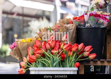 Blumenladen, Tulpen als Schnittblumen. // 20.03.2025: Stuttgart, Baden-Württemberg, Deutschland, Europa *** Blumenladen, Tulpen als Schnittblumen 20 03 2025 Stuttgart, Baden Württemberg, Deutschland, Europa Stockfoto