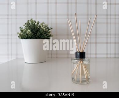 Eine minimalistische Wohnkultur-Szene mit einem weißen Tisch mit einer kleinen grünen Topfpflanze und einem Glasrohr-Diffusor Stockfoto