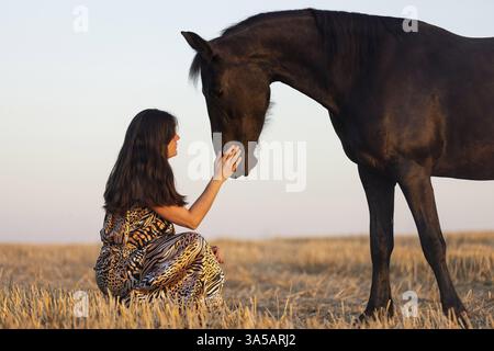 Junge Frau mit friesischer Stute Stockfoto