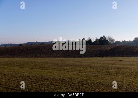 Spuren von Traktoren und anderen landwirtschaftlichen Maschinen auf dem Boden auf dem Feld Stockfoto
