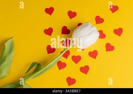 Eine weiße Tulpe auf gelbem Papier mit roten Herzen, roten Herzen und weißen Tulpenblüten auf gelbem Papier Stockfoto