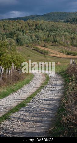 9x16 Schotterstraße Vintage Zaunfeld Wald auf Hügeln rustikale Landschaft Stockfoto