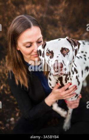 Dalmatiner Stockfoto
