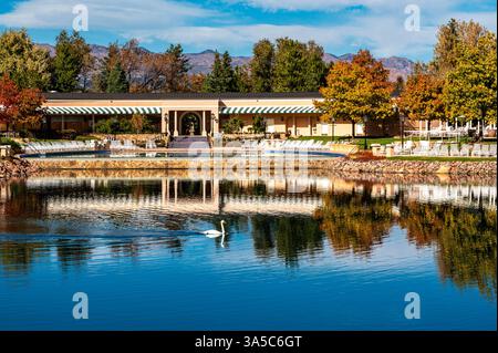 Tranquil Lakeside Scene with Swan Near Resort Reflecting Autumn Colors Stockfoto