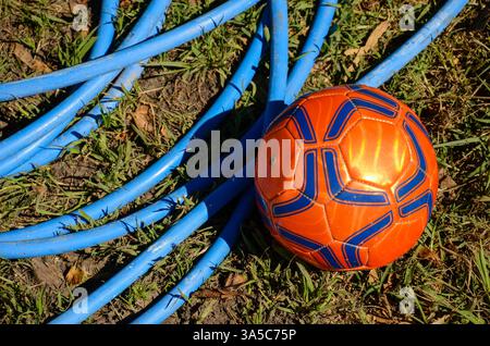 Orangefarbener Fußball im Gras mit verwickelten blauen Schläuchen in lebendiger Outdoor-Umgebung Stockfoto