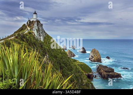 Die malerische Küste des Pazifischen Ozeans. Nugget Point Lighthouse am malerischen Cape Nugget. Südinsel, Neuseeland. Das Konzept des aktiven, Stockfoto