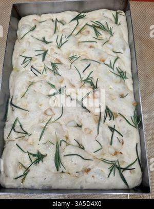Frisch zubereitetes Focaccia-Brot mit Rosmarin- und Pinienkernen ist fertig zum Backen und zeigt die Zutaten und den Zubereitungsstil. Stockfoto