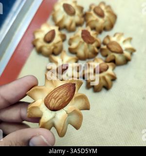 Frisch gebackene Mandelkekse sind wunderschön in einer Bäckerei zubereitet und präsentieren ihre goldene Farbe und nussigen Topping, perfekt für Dessertliebhaber. Stockfoto