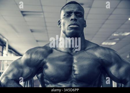 Attraktive Hunky schwarzen männlichen Bodybuilder Bodybuilding Pose im Fitness-Studio zu tun Stockfoto