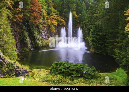 Tanzender Brunnen in einem ruhigen Teich, umgeben von Kiefernwäldern. Butchart Gardens auf Vancouver Island, Kanada, Nordamerika Stockfoto