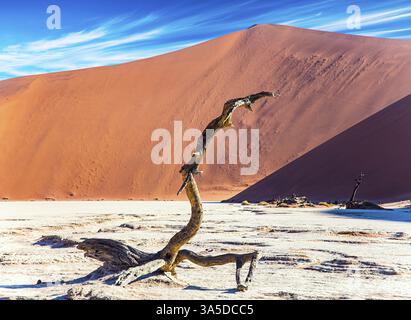 Malerische, getrocknete, versteinerte Bäume auf dem Grund des ausgetrockneten Lake Sossusflei. Leuchtend große rote und orangefarbene Sanddünen. Afrika, Namibia. Der Namib-Nau Stockfoto