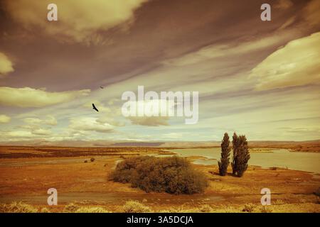 Gelbe flache Wüste mit flachen Seen. Argentinisches Patagonien an windigen Sommertagen Stockfoto