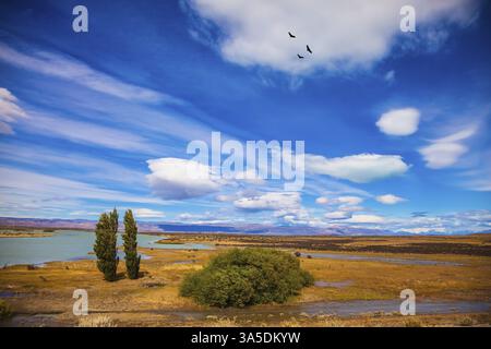 Argentinischen Patagonien im Februar. Gelbe flache verbrannten Wüste mit flachen Seen Stockfoto