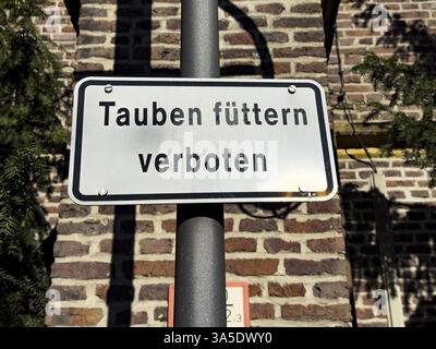 Das Schild „keine Tauben füttern“ ist an den Laternenpfosten im Stadtzentrum, Deutschland, Europa angebracht Stockfoto