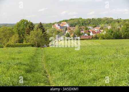 Blick auf die Stadt mit Schloss und Stadtkirche St. Ägidien, Colditz, Sachsen, Deutschland, Europa Stockfoto