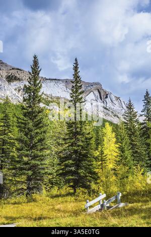 Kleine Holzbrücke über einen Waldbach. Dichter Wald. Der warme indische Sommer in den Rocky Mountains, Kanada, Nordamerika Stockfoto