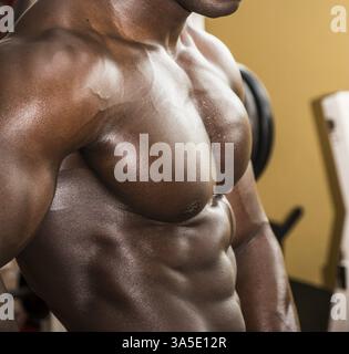 Attraktive Hunky schwarzen männlichen Bodybuilder Bodybuilding Pose im Fitness-Studio zu tun Stockfoto