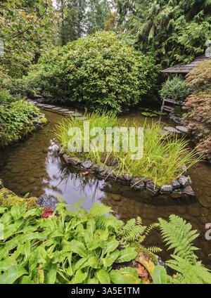 Japanischer Garten. Kleiner, ruhiger Teich, mit Lilien bewachsen. Malerischer, dekorativer Park Butchart Gardens auf Vancouver Island, Kanada, Nordamerika Stockfoto