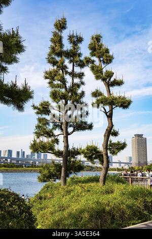 INSEL ODAIBA, JAPAN, 03. MAI 2023: Die malerische Bucht von Tokio ist ein Ort der Unterhaltung für die Bürger. Lieblingsplatz für Spaziergänge von Bürgern. Odaiba ist Stockfoto