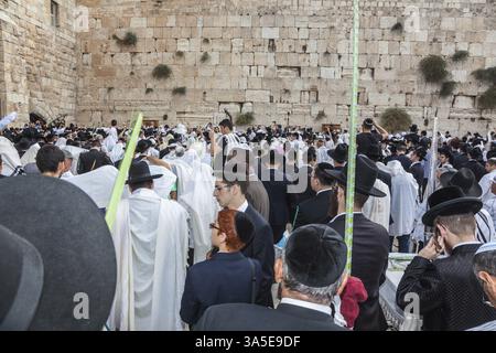JERUSALEM, ISRAEL - 12. OKTOBER 2014: Morning Herbstsukkot. Eine Menge jüdischer Anbeter in weiß, die Gebetschals tragen. Das Gebiet der Westmauer von Te Stockfoto