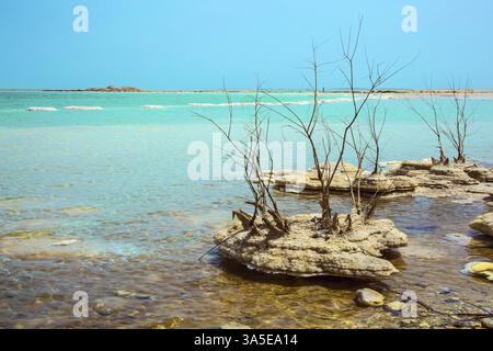Israel, Frühling. Für Immer Lebendes Totes Meer. Malerische Inseln mit Heilsalz im See. Das Konzept des ökologischen und therapeutischen Tourismus, Asien Stockfoto